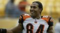 T.J. Houshmandzadeh claims his last name was stolen by 'obsessed' fan