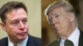 Why Would a White House Reporter Ask About Muzzling Musk?